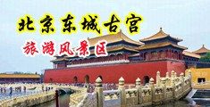 小骚逼被大鸡八草到高潮视频中国北京-东城古宫旅游风景区